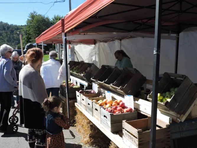 Wellsburg was all about the apple for annual festival